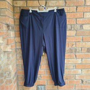 6th & LN Womens Plus Ankle Pants Elastic Waist Light Weight Blue Size 28